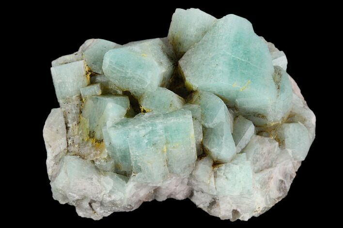 2.3" Amazonite Crystal Cluster - Colorado